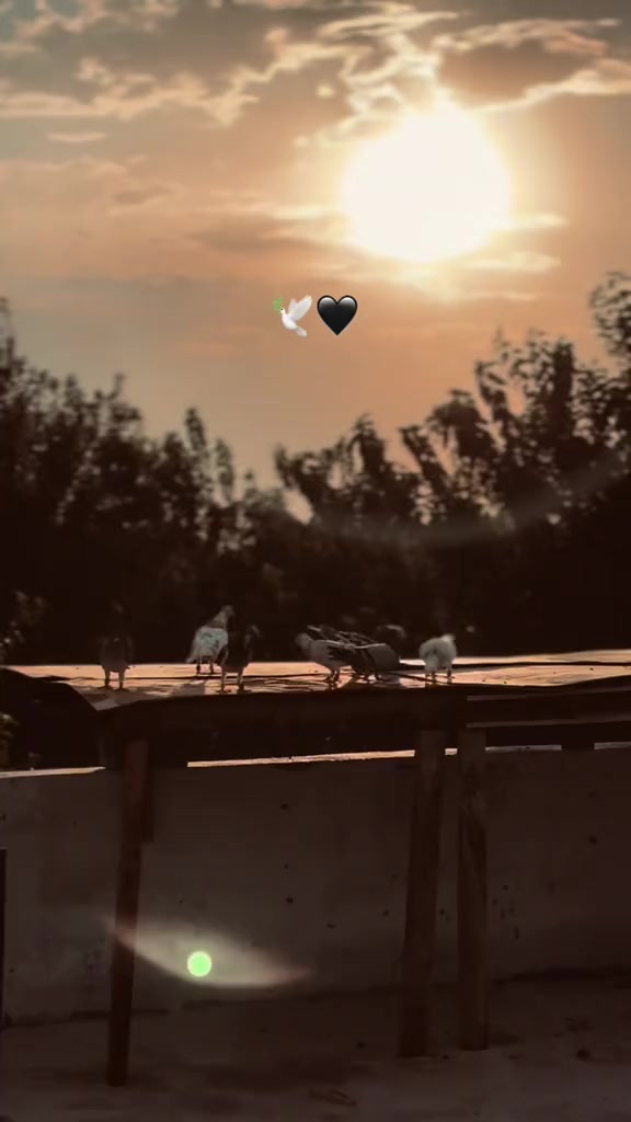 @Reis Cuma Karakaş