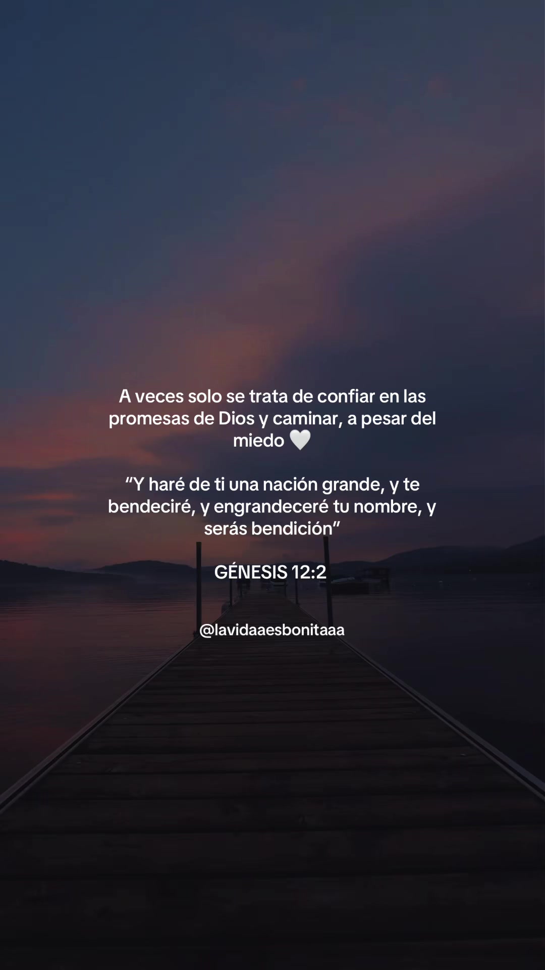 @vidabonita❤️&zwj;🩹