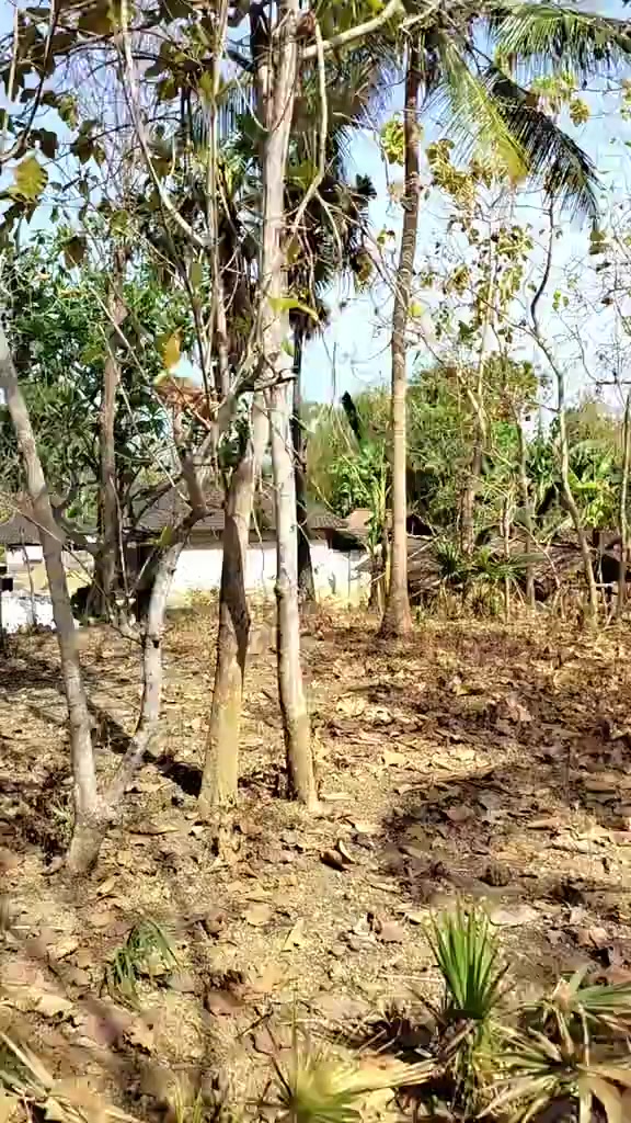 @Kang Abu unzaf❗💝 🇲🇨