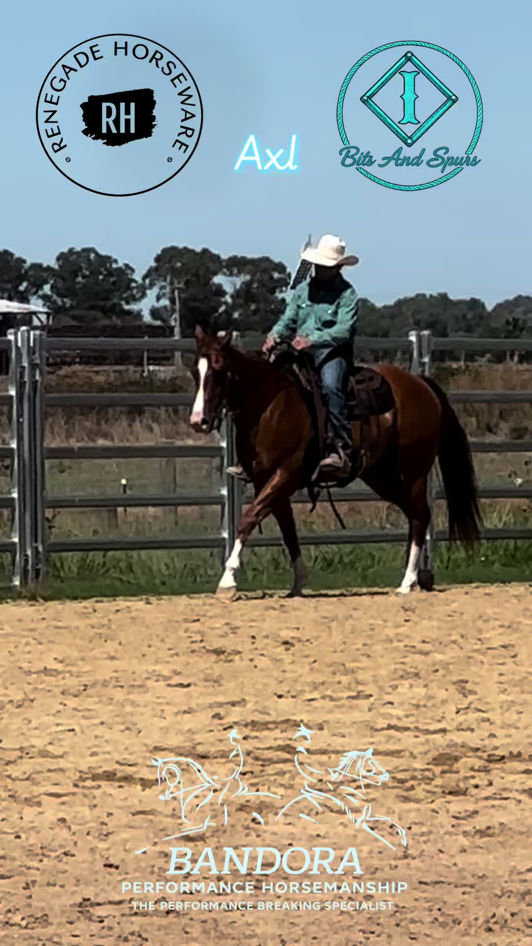 @Bandora_Horsemanship