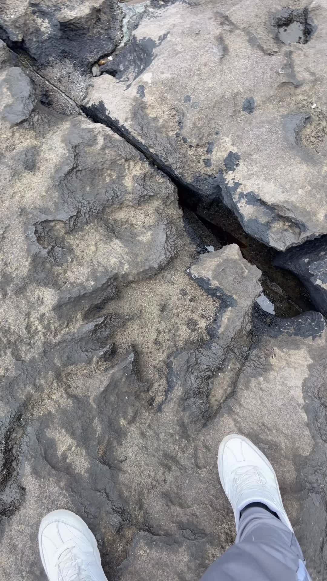 @𝑀𝒶𝓇𝓁𝑜