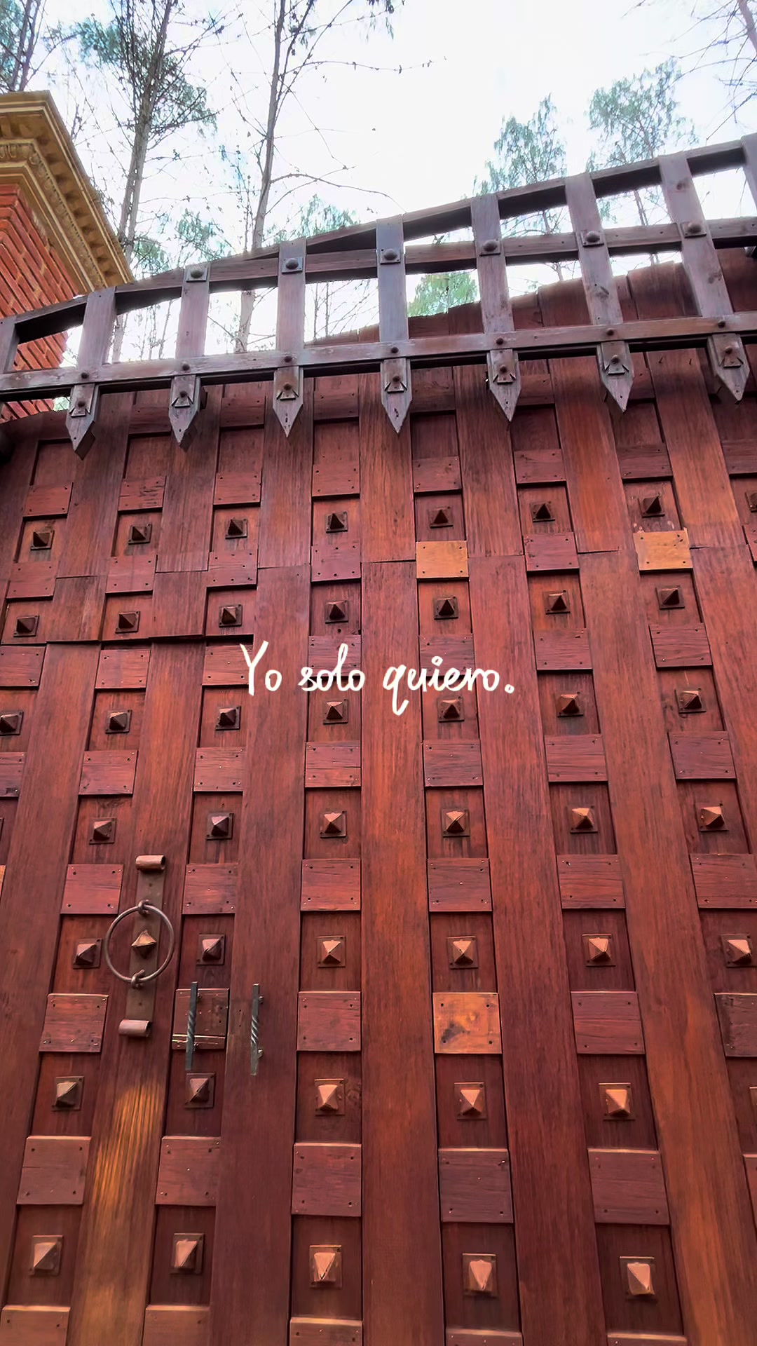 @Bosque Erase Una Vez