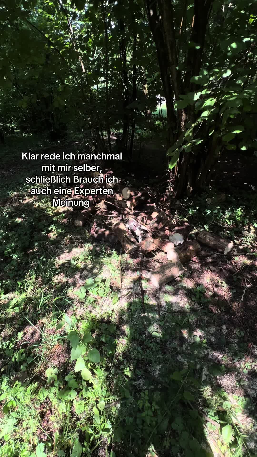@Kr&uuml;melrlp🇩🇪🚛