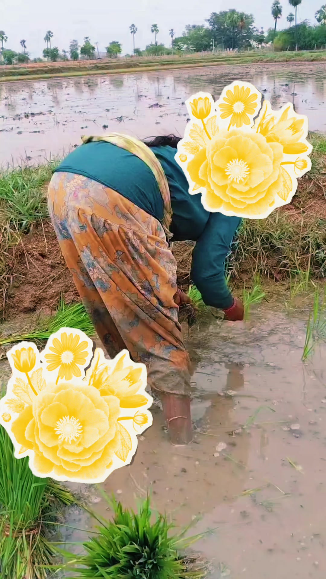@💐🖤Madhu🖤💐