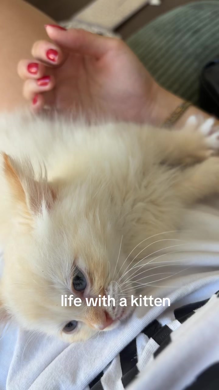 @kat