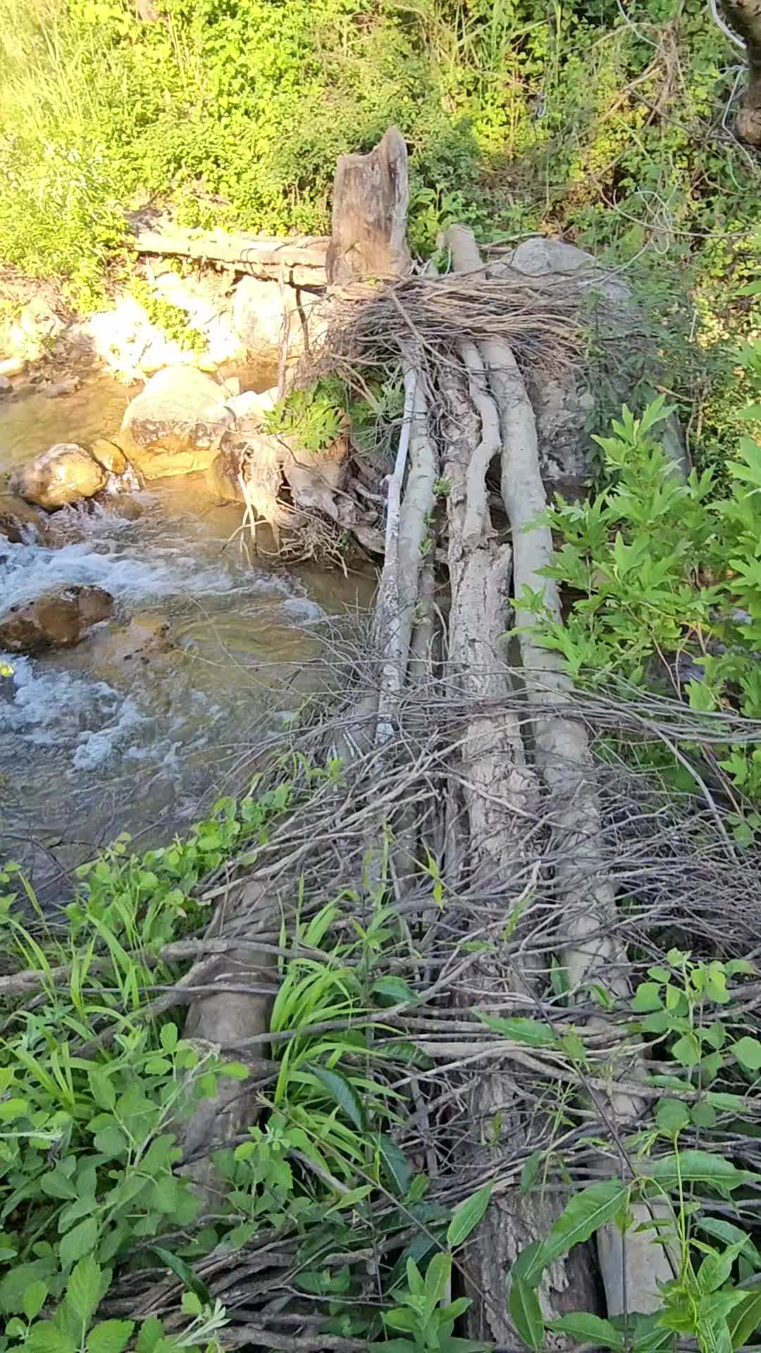 @heja_nheli25📸⛰️