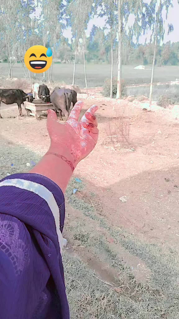 @❤️🧸سرگودھا کی شہزادی 👑👰