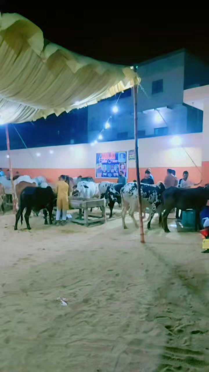 @malik saab
