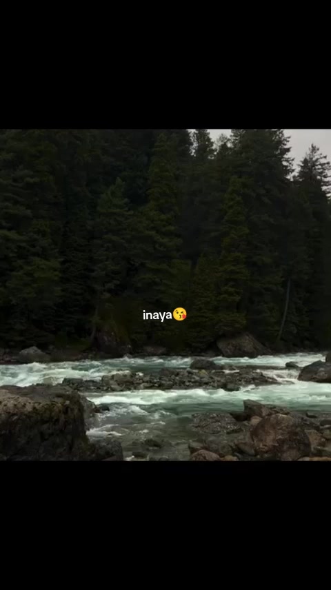 @🎧inaya🎧