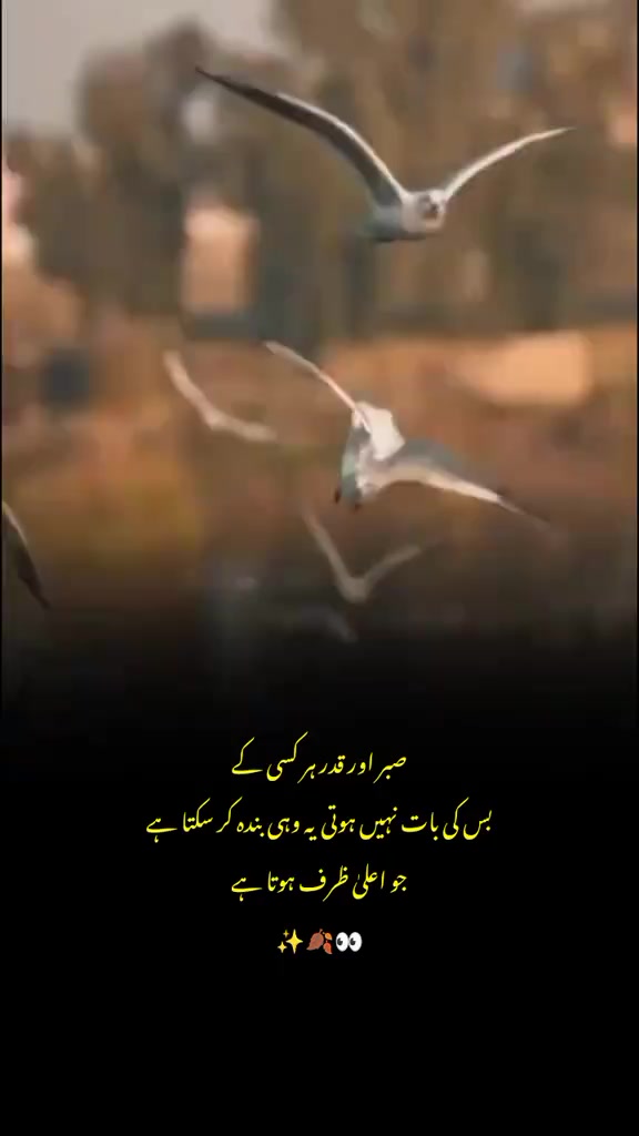 @zeeshu G