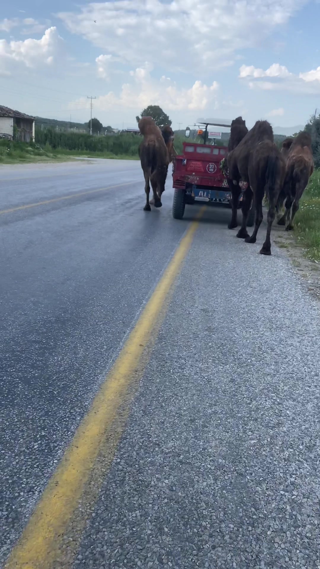 @Ozan,Kılınç