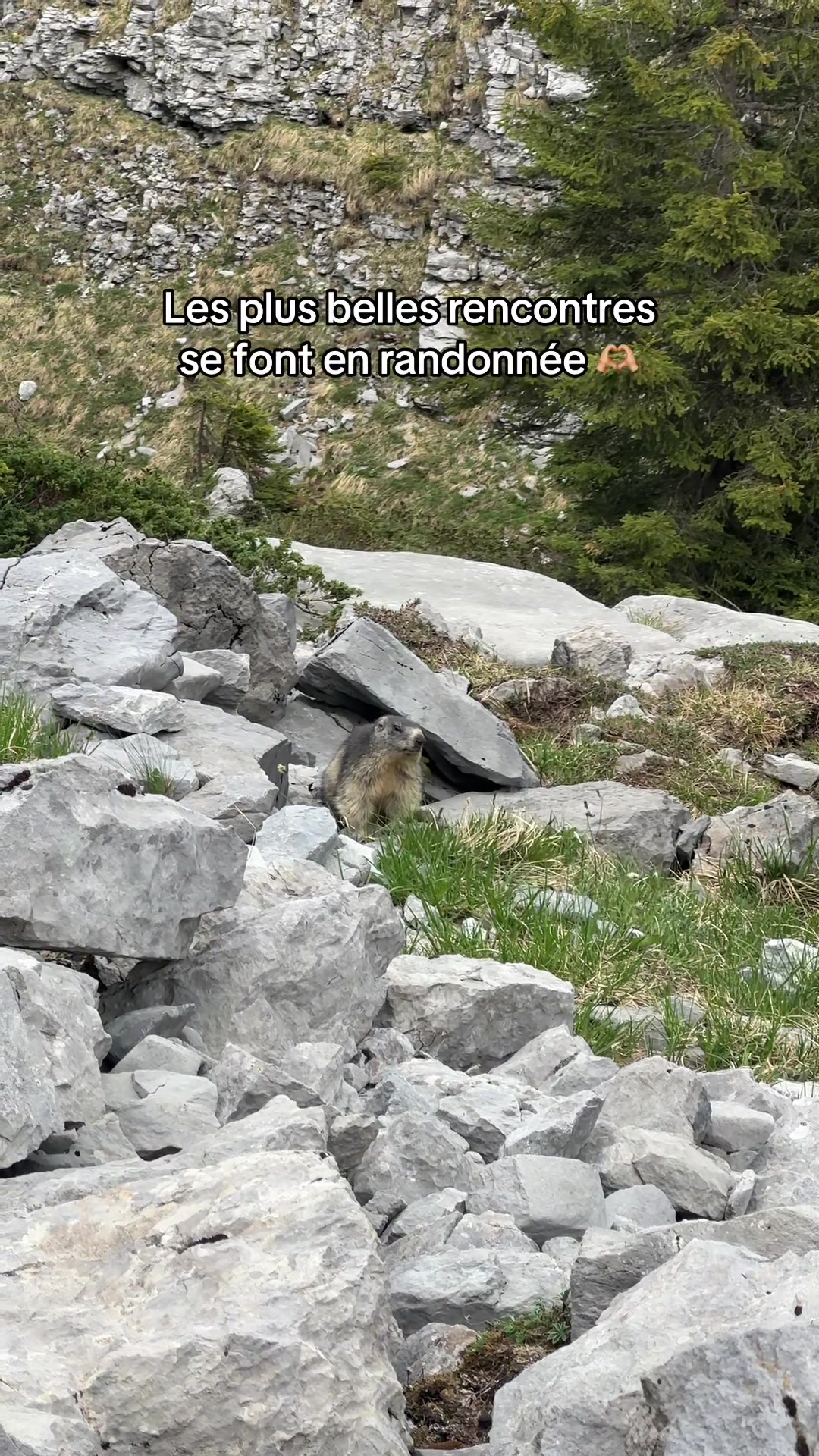 @Les 2 HS ⛰️