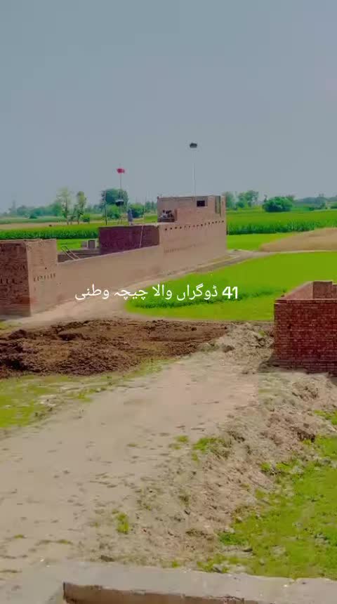 @mani Dogar 7/11