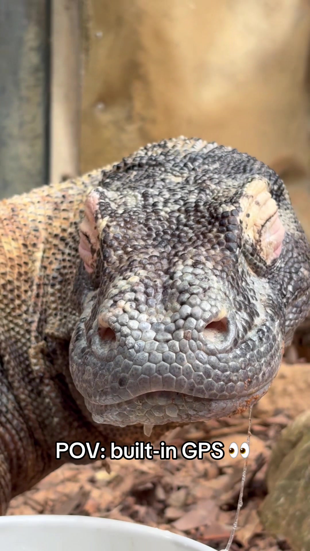 @Perth Zoo