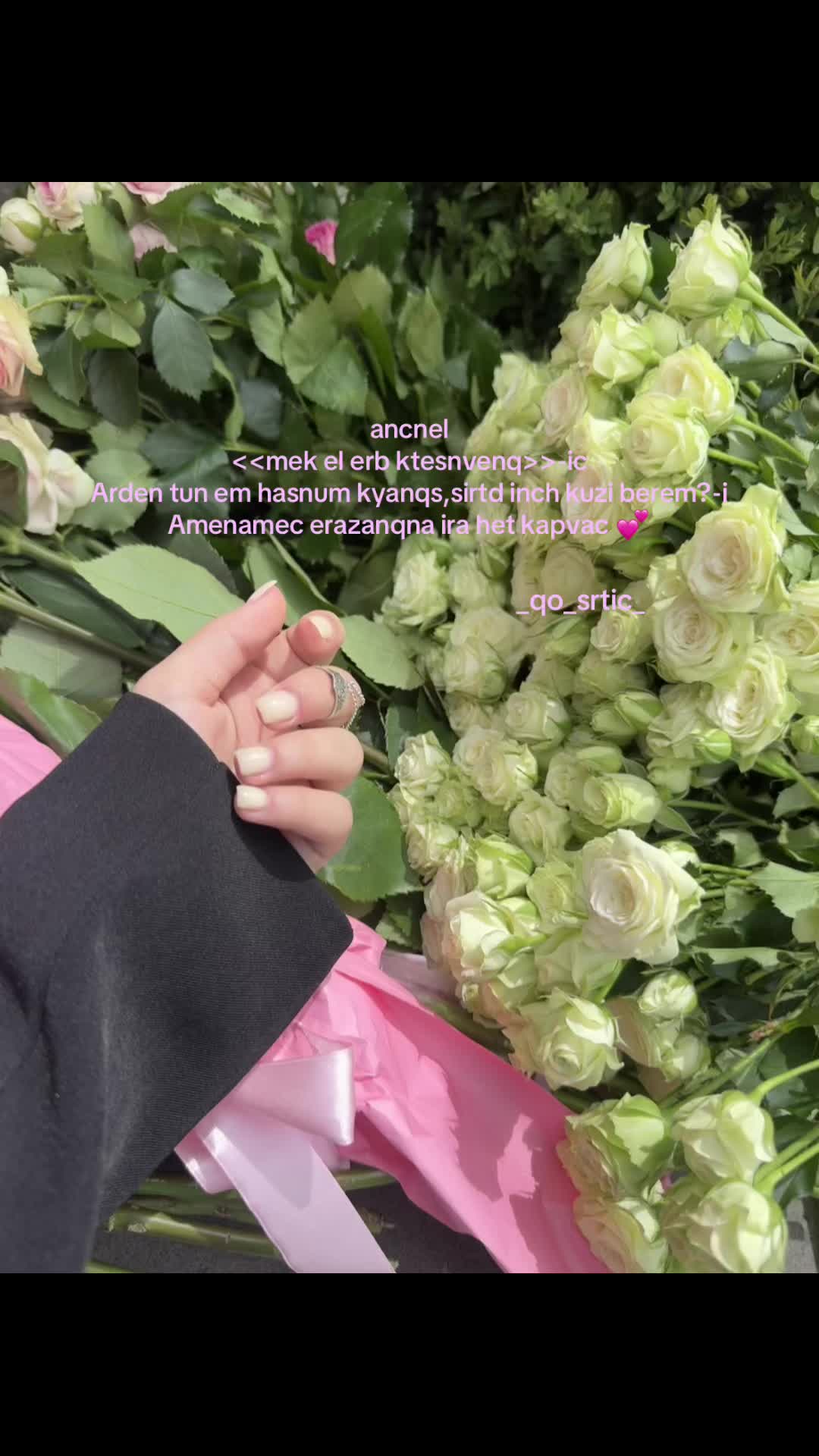 @_qo_srtic__