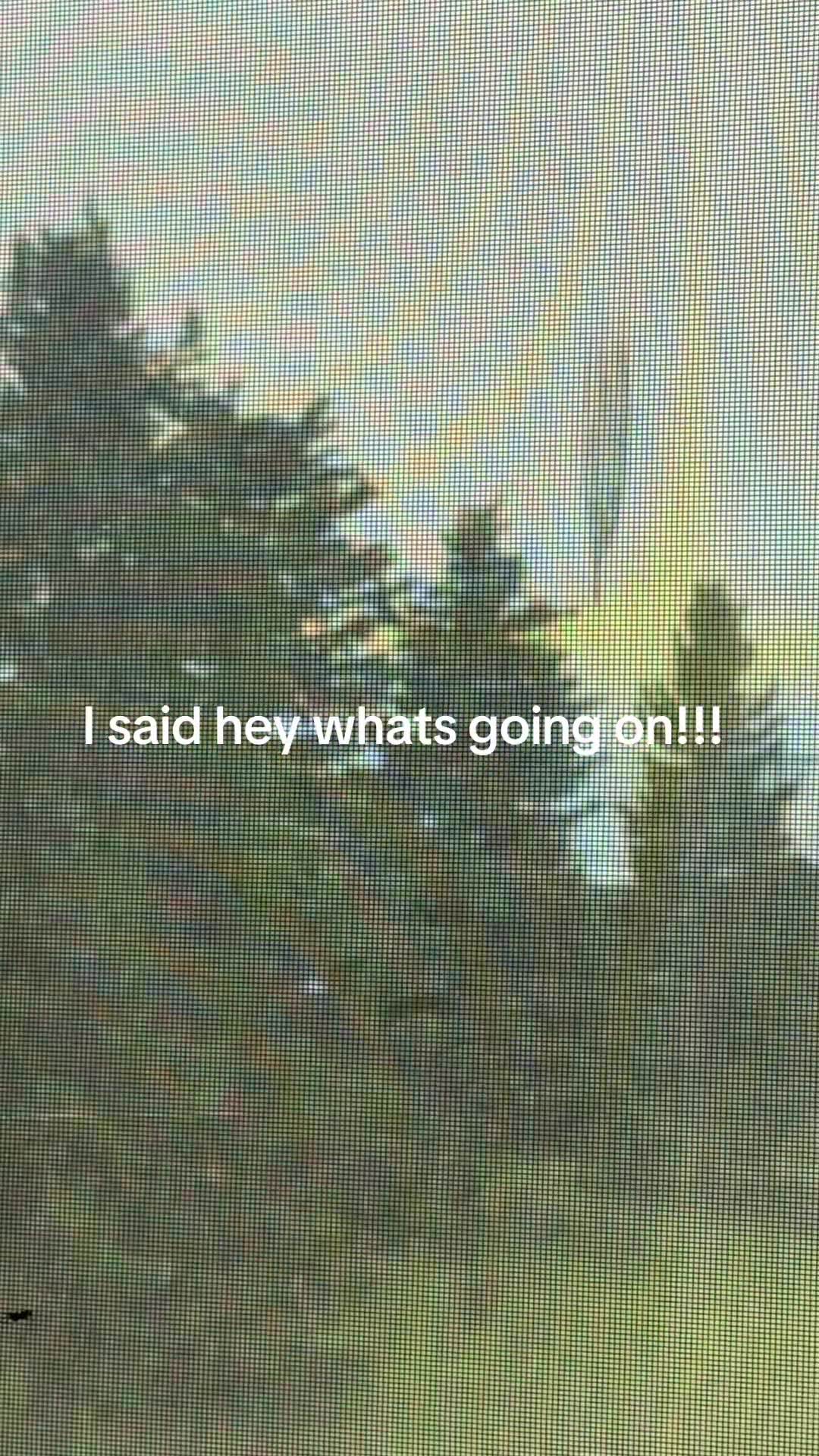 @Michelle Lynn