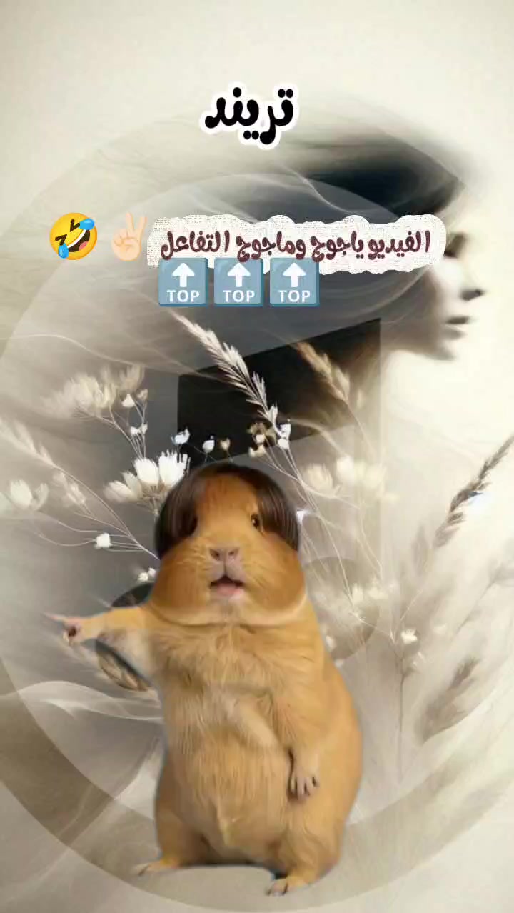@🪶🔥🌺فادية 🌺🔥🪶