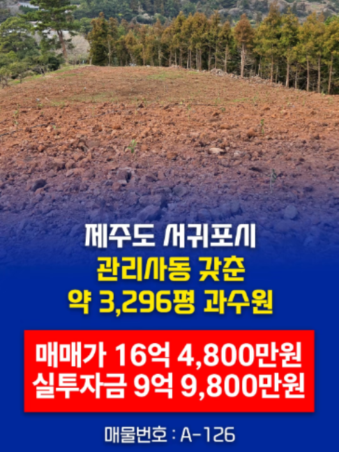 @부동산 전문가 박미란
