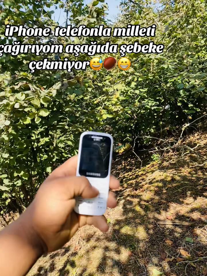 @ YORGUNREYİS: