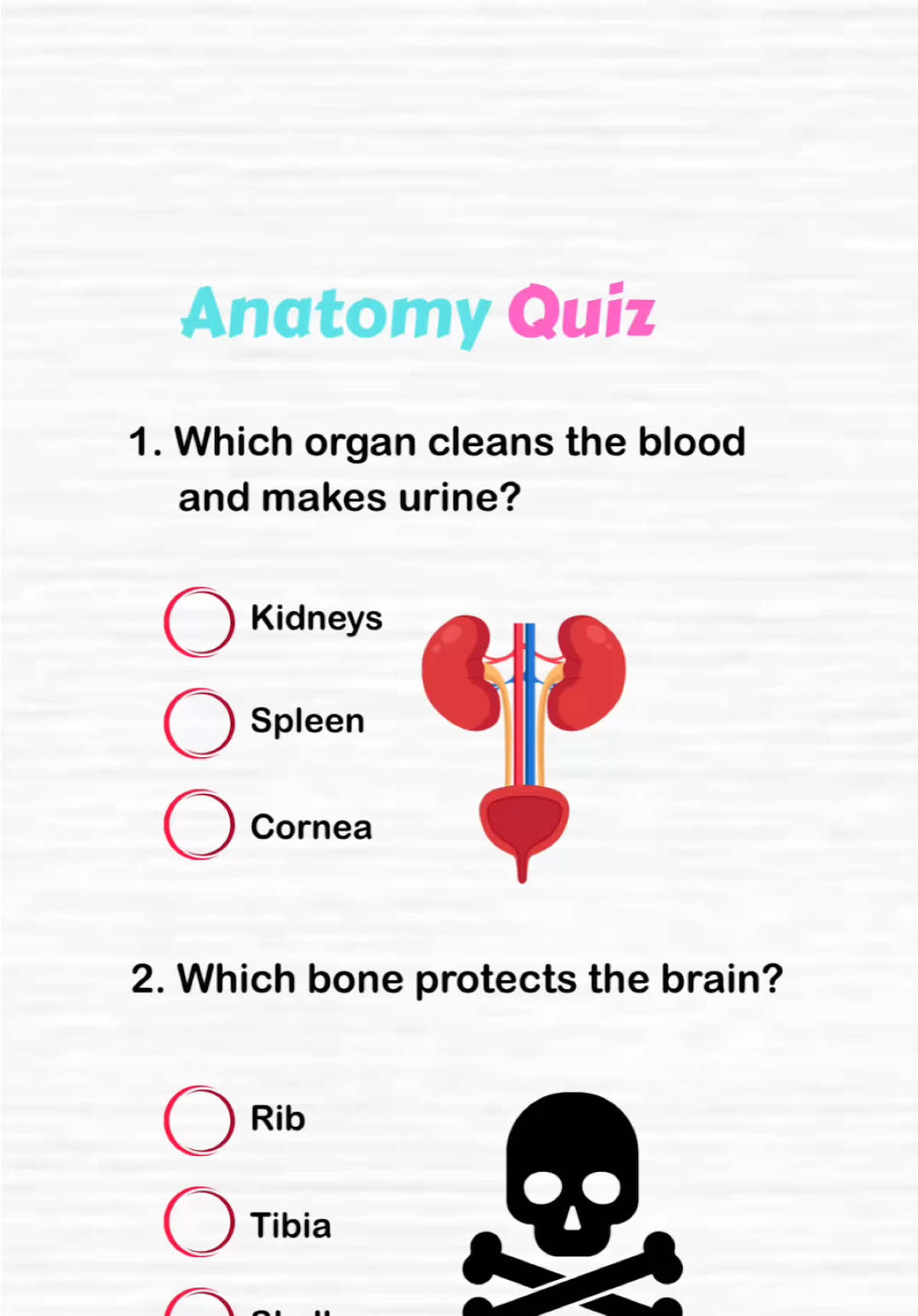 @QuizSpot Official