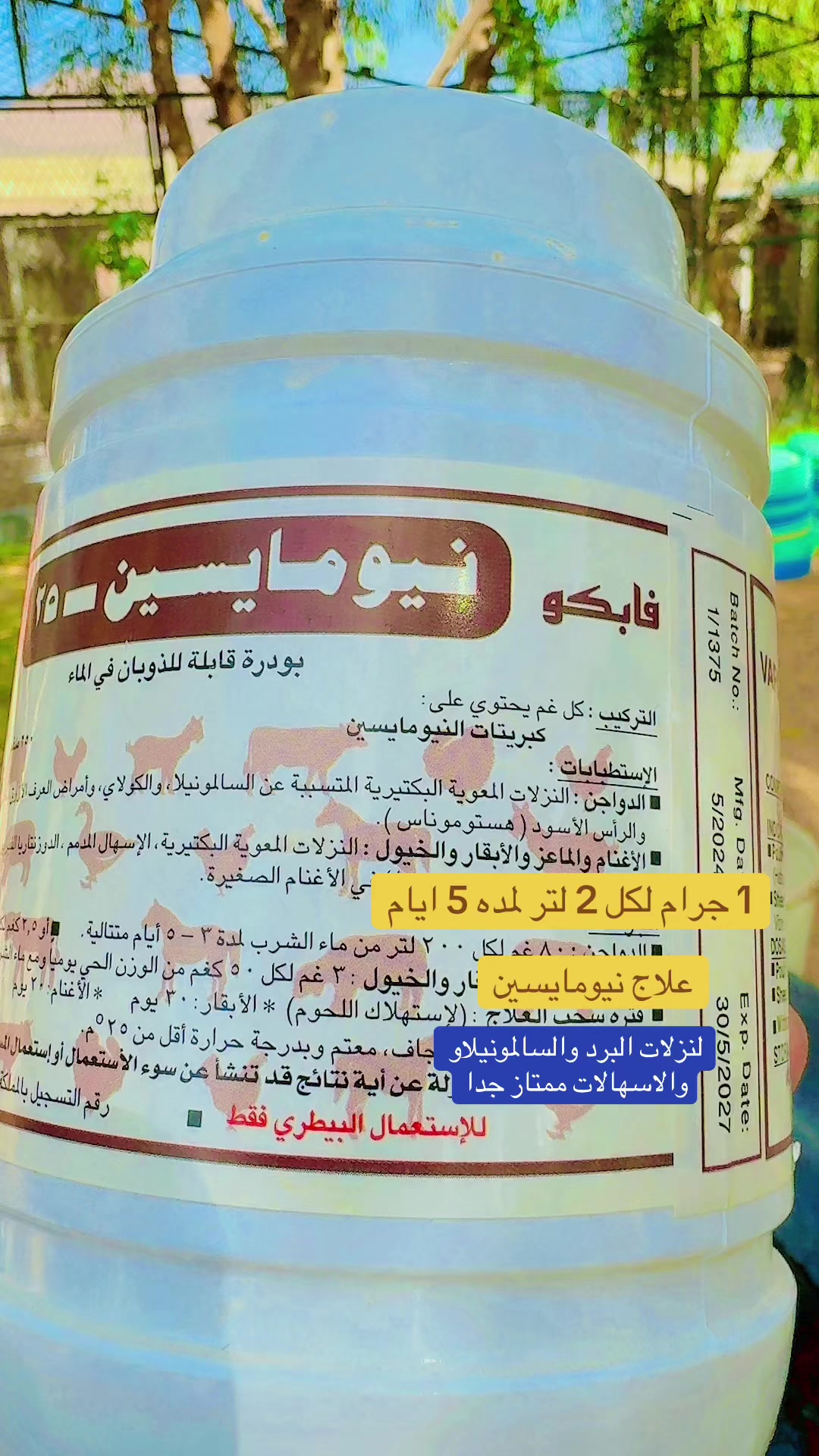 @نوادر الدجاج الزينه