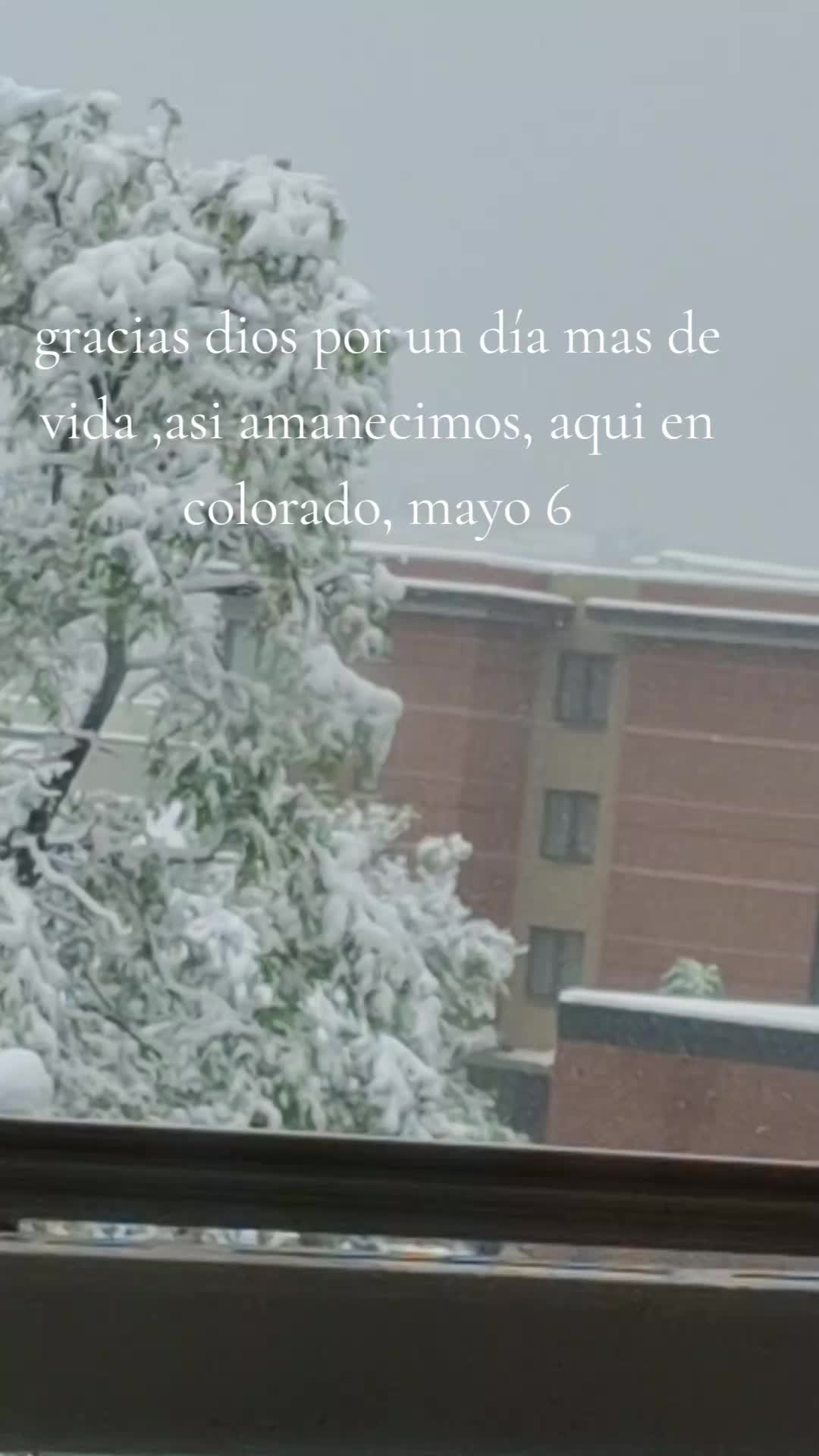 @Liliana