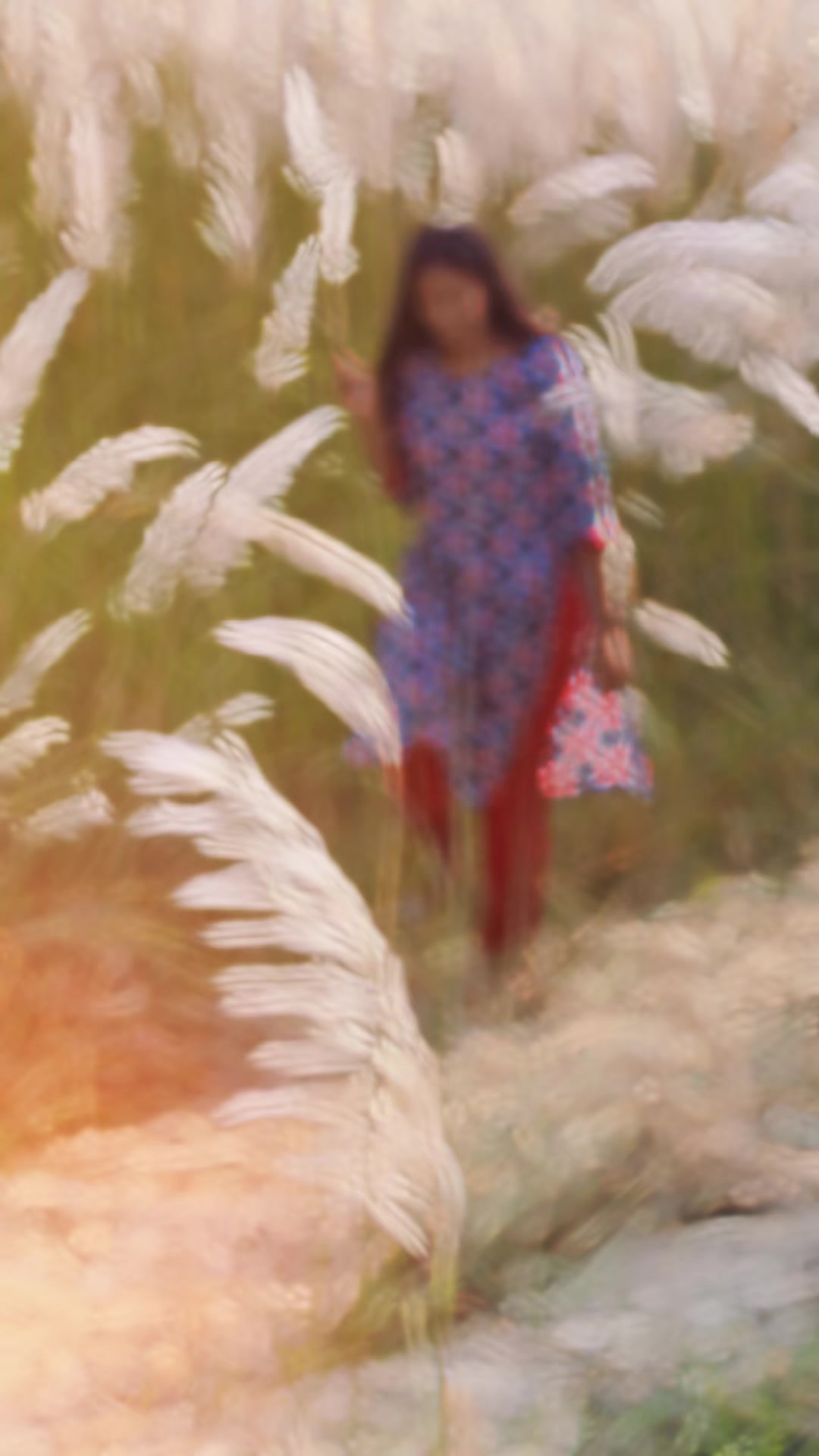 @Anshu Shah🦚🇳🇵🦚