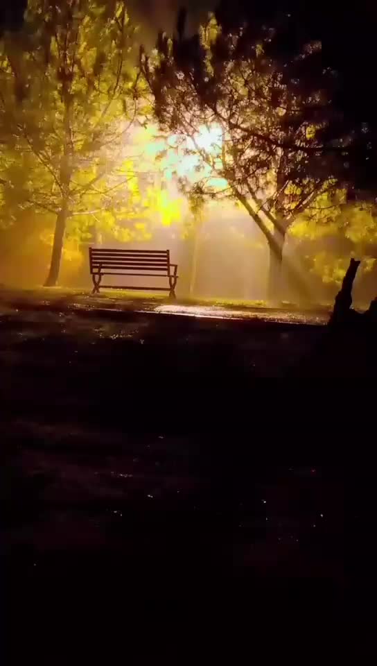@MANI..0009