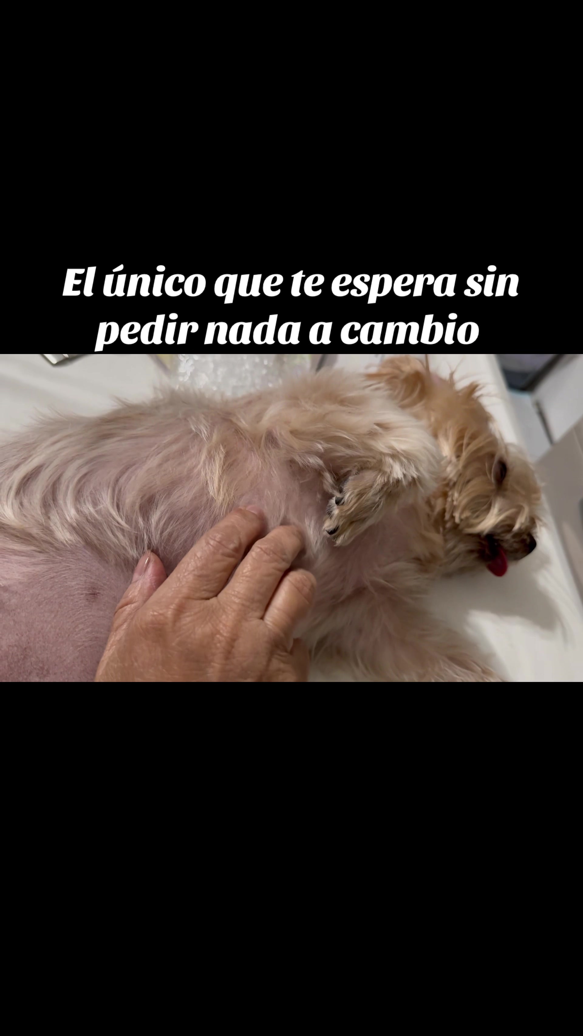 @Rocio Fern&aacute;ndez