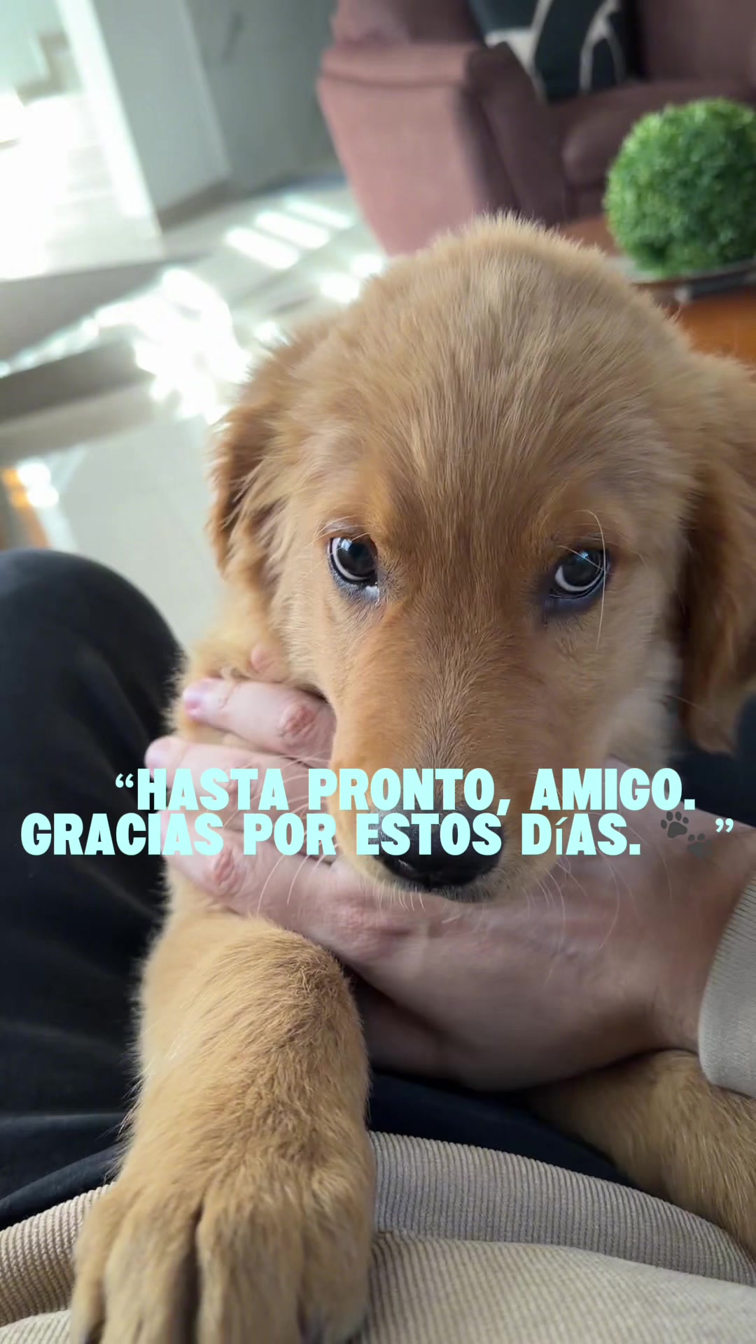 @Soy Carlos Baca Gomez