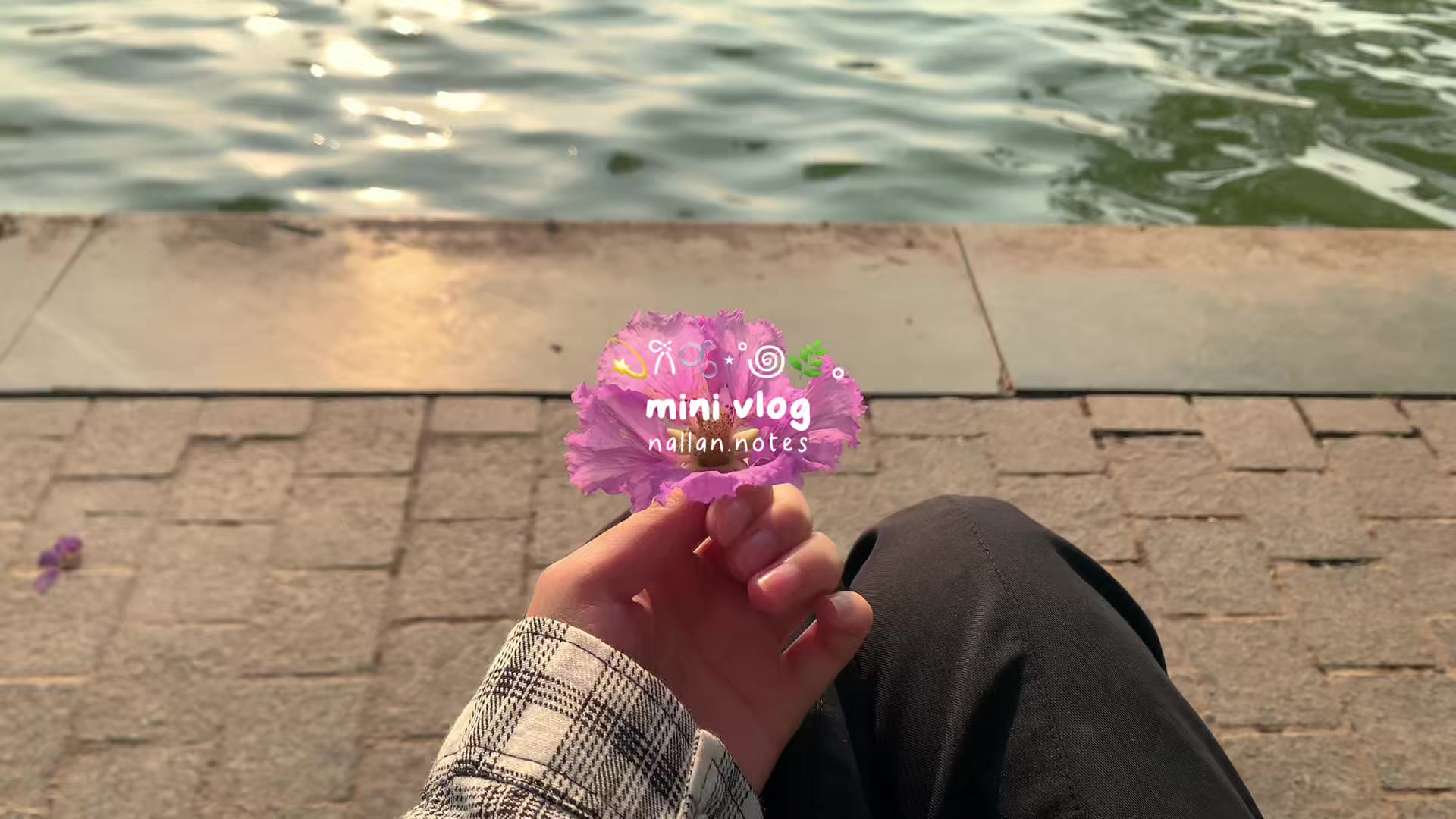 @nallannotes