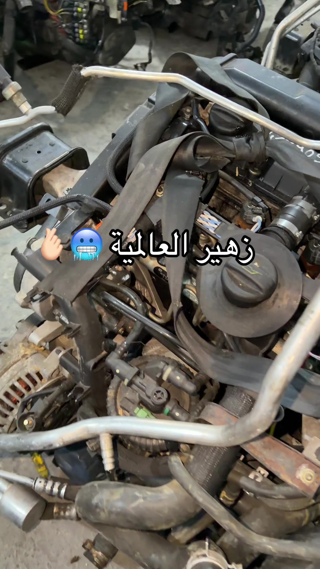 @Zouhair gmiza العالمية