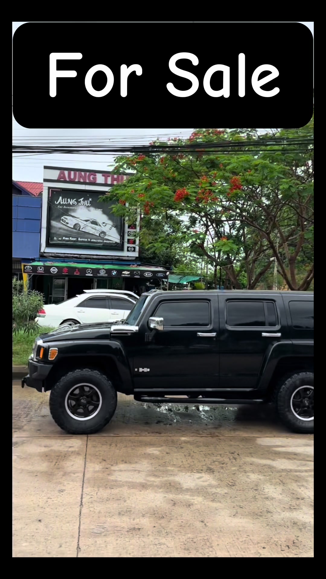 @KO THU