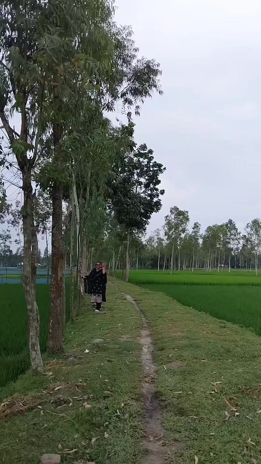 @tilotoama