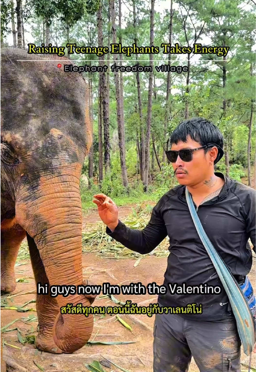 @Elephant way
