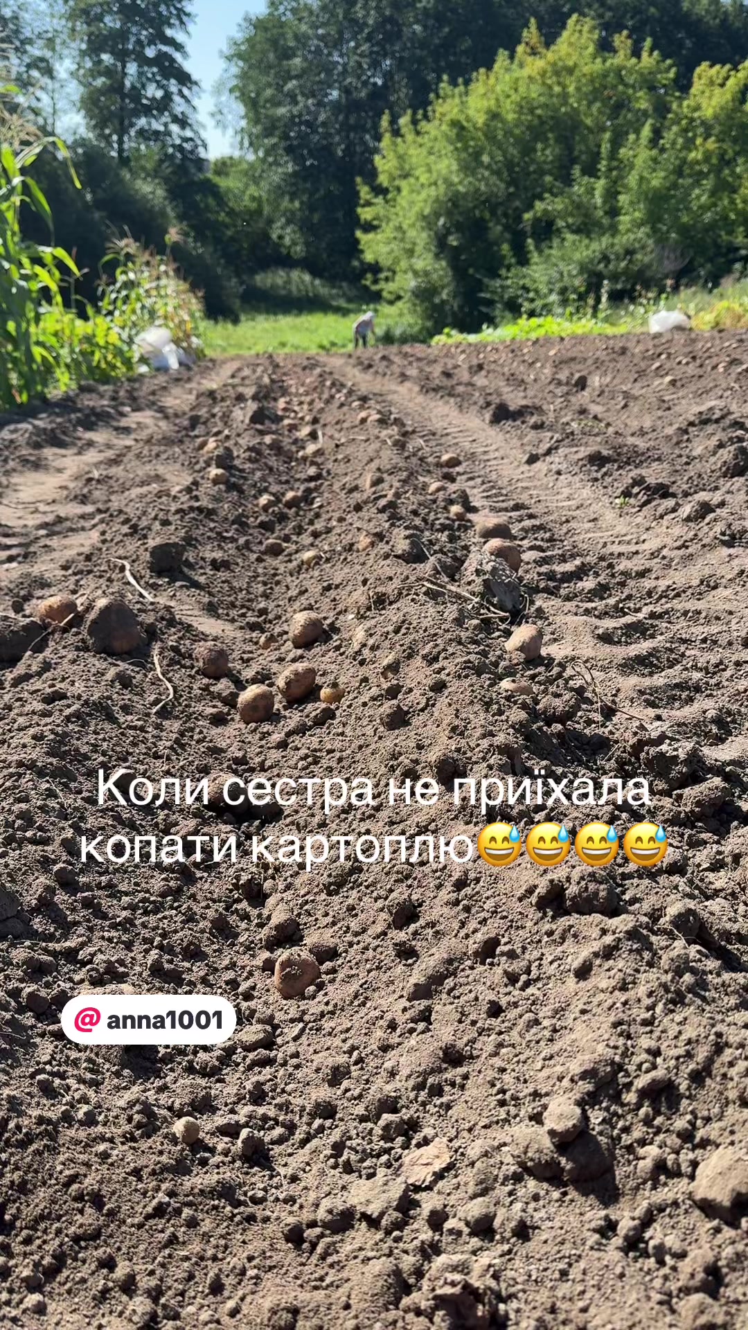 @Юлия Копитко