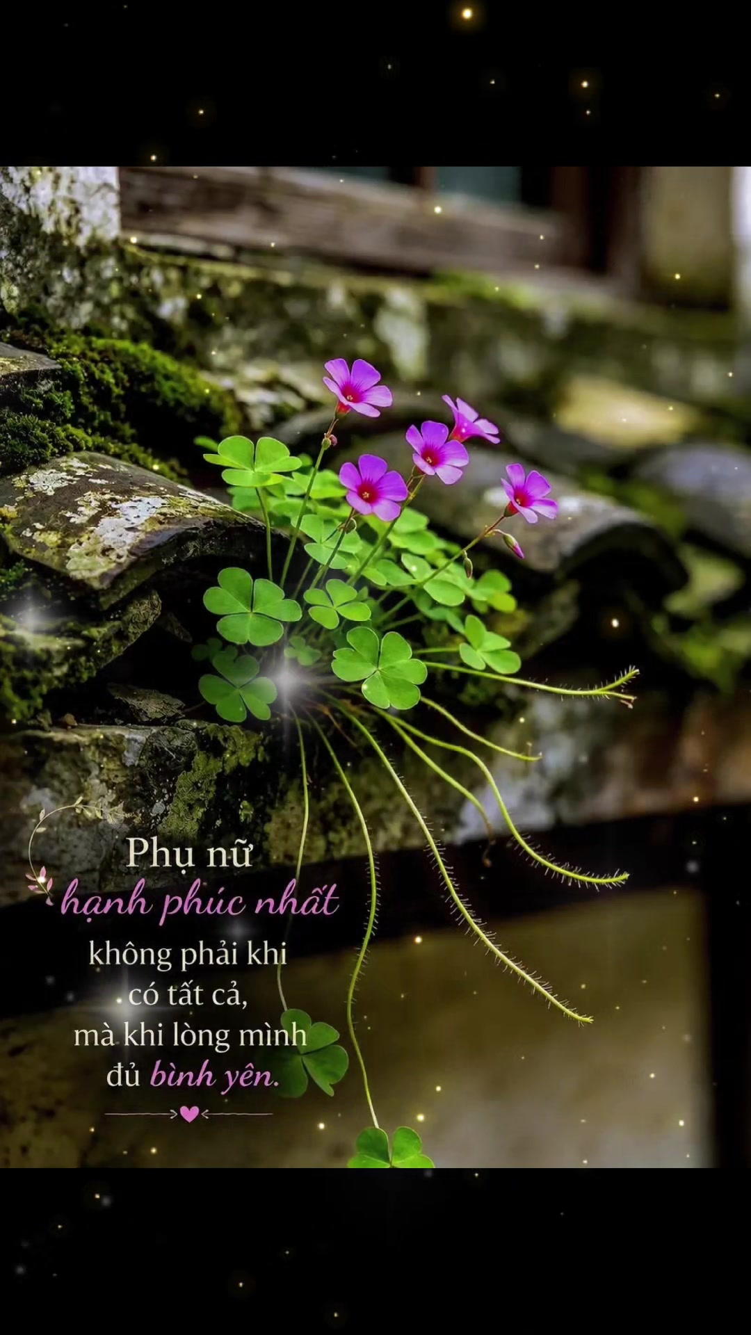 @mạnh H&ugrave;ng