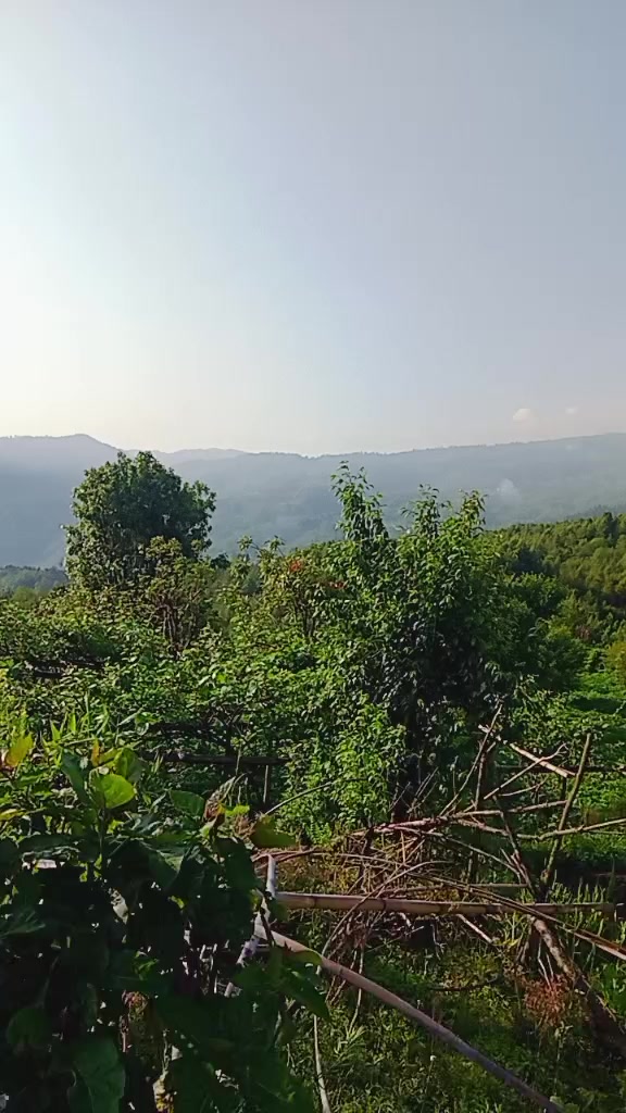 @Sarita Khadka