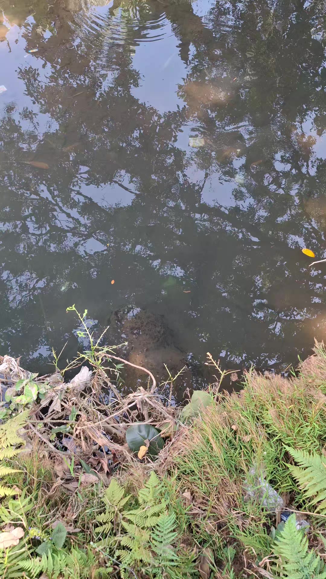 @Gasle Fishing
