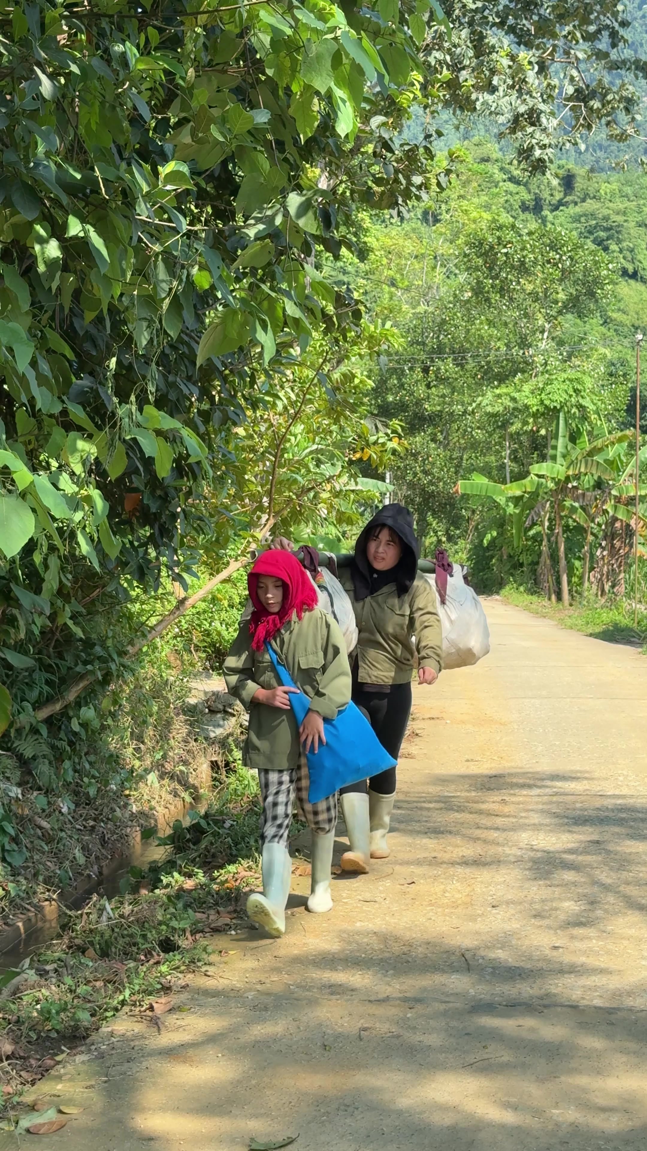 @Sức Tày