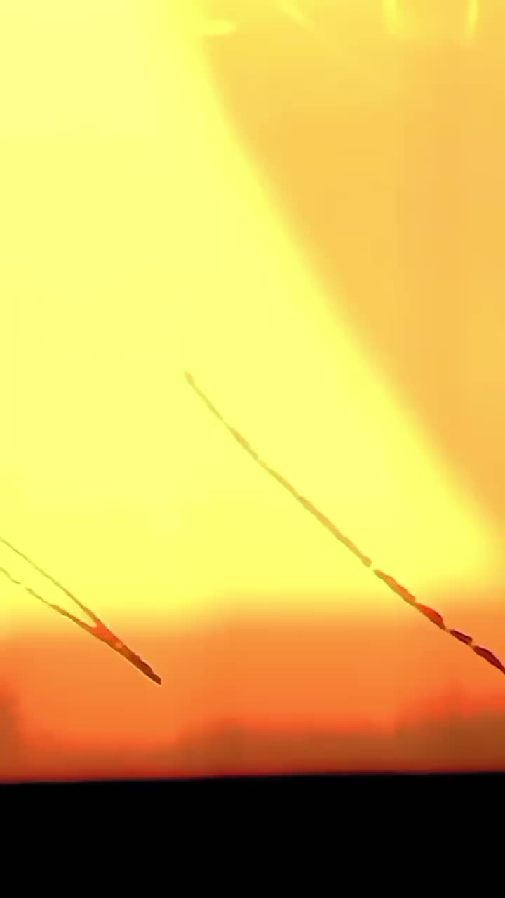 @๐๐๐งธ
