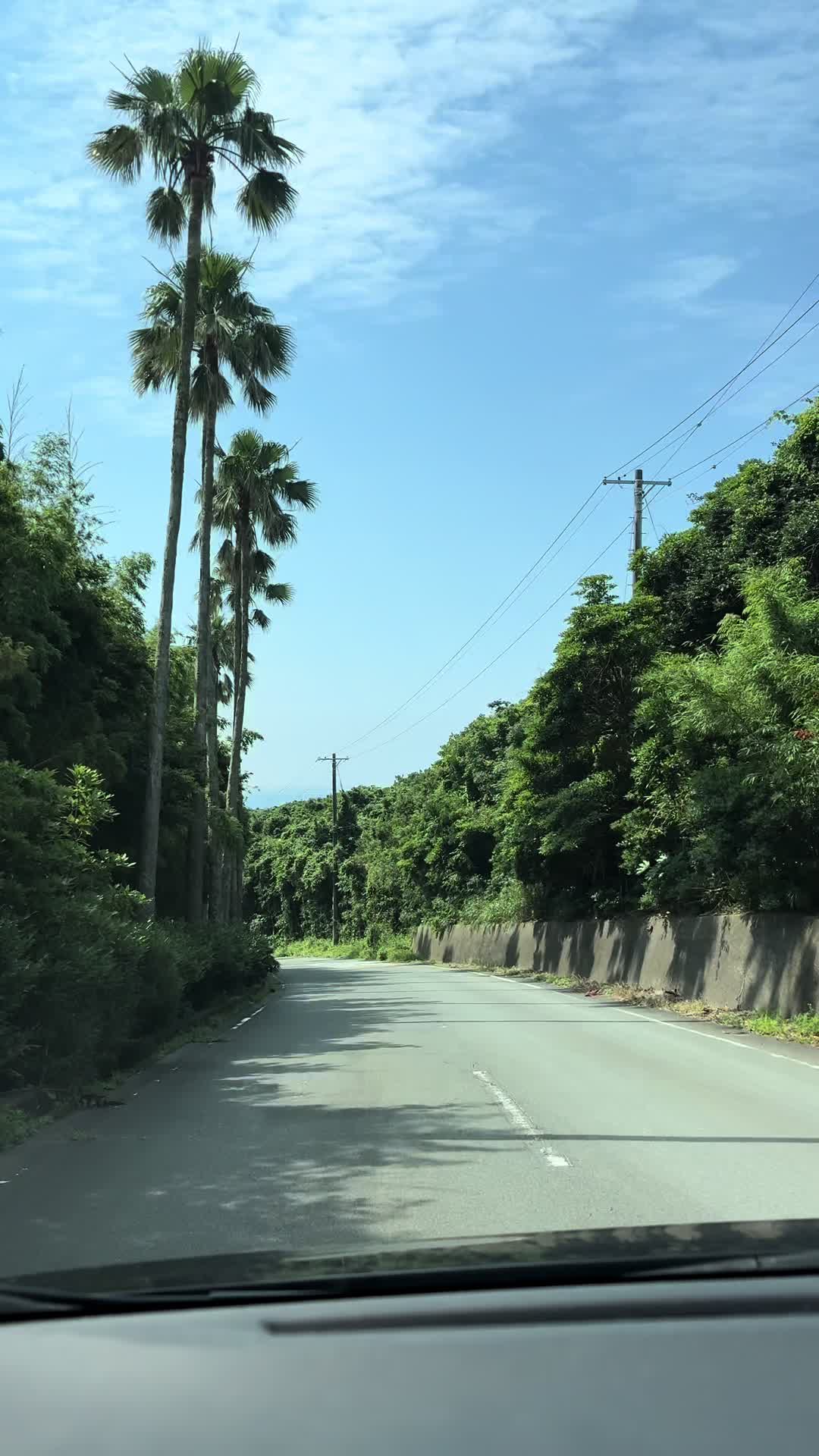 @𝐇𝐚𝐧𝐧𝐚🎸◝✩