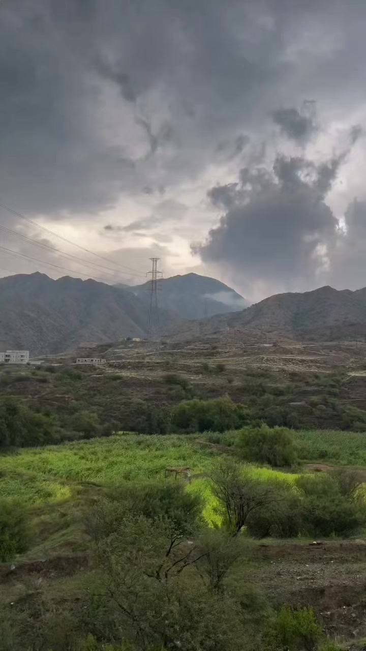 @فذكر فإن الذكرى تنفع المؤمنين