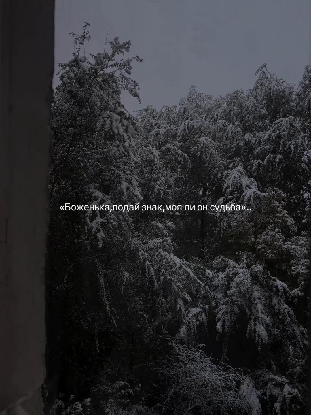 @𝒱𝒾𝒸𝓉𝑜𝓇𝒾𝒶