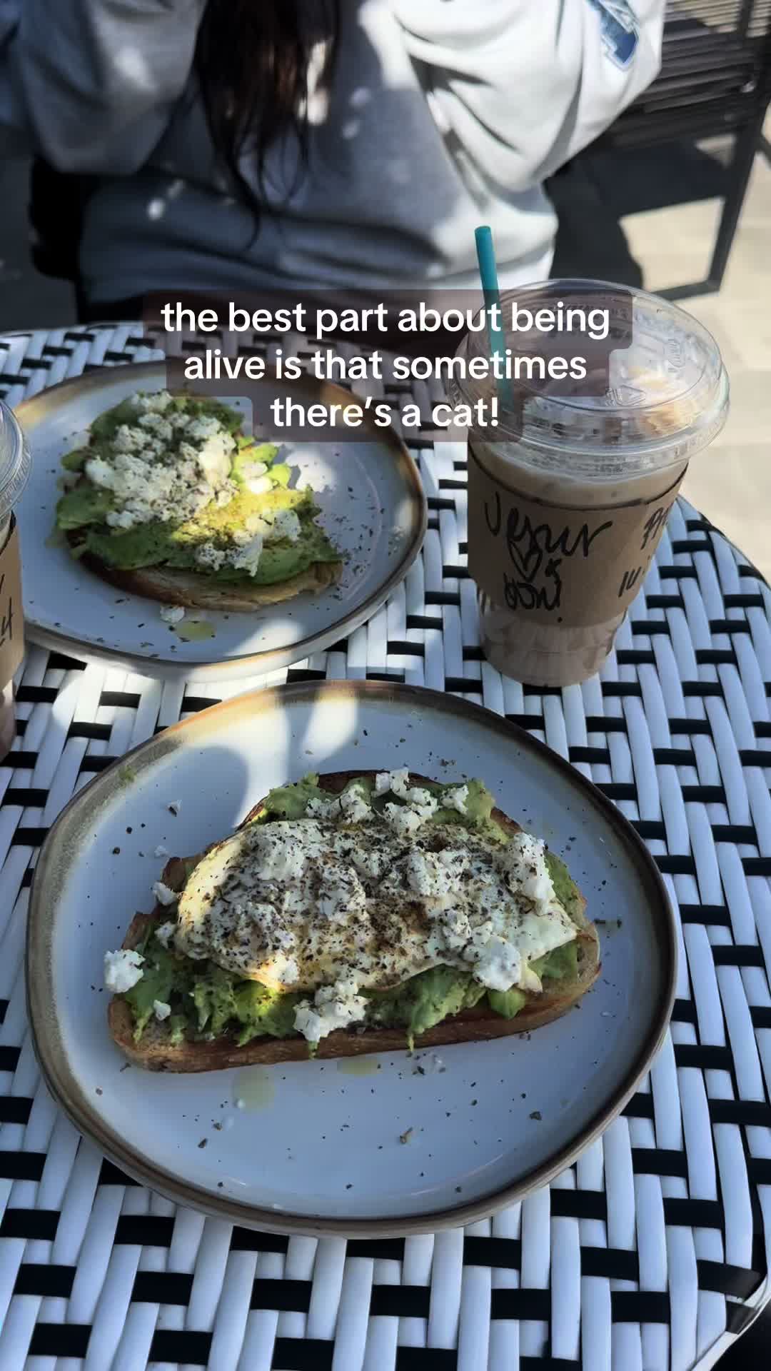 @abi