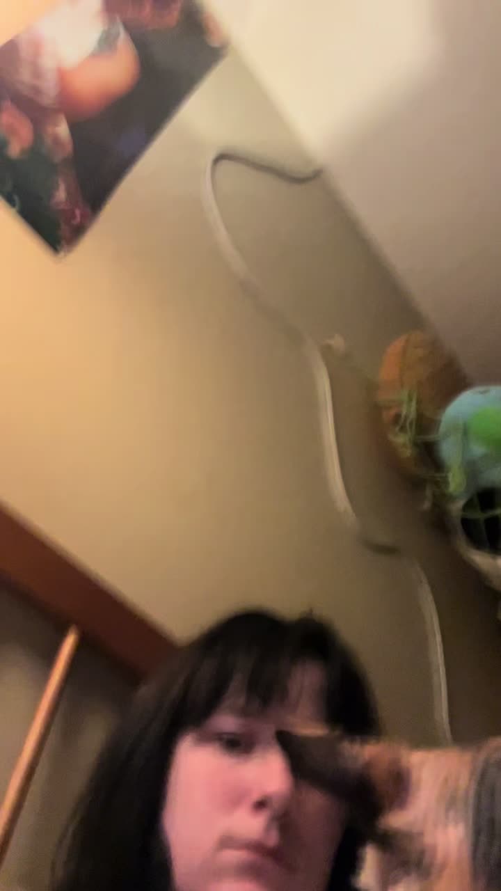 @adrioli