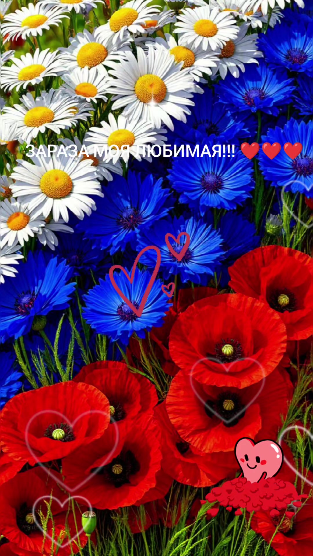 @zulfimysaivna