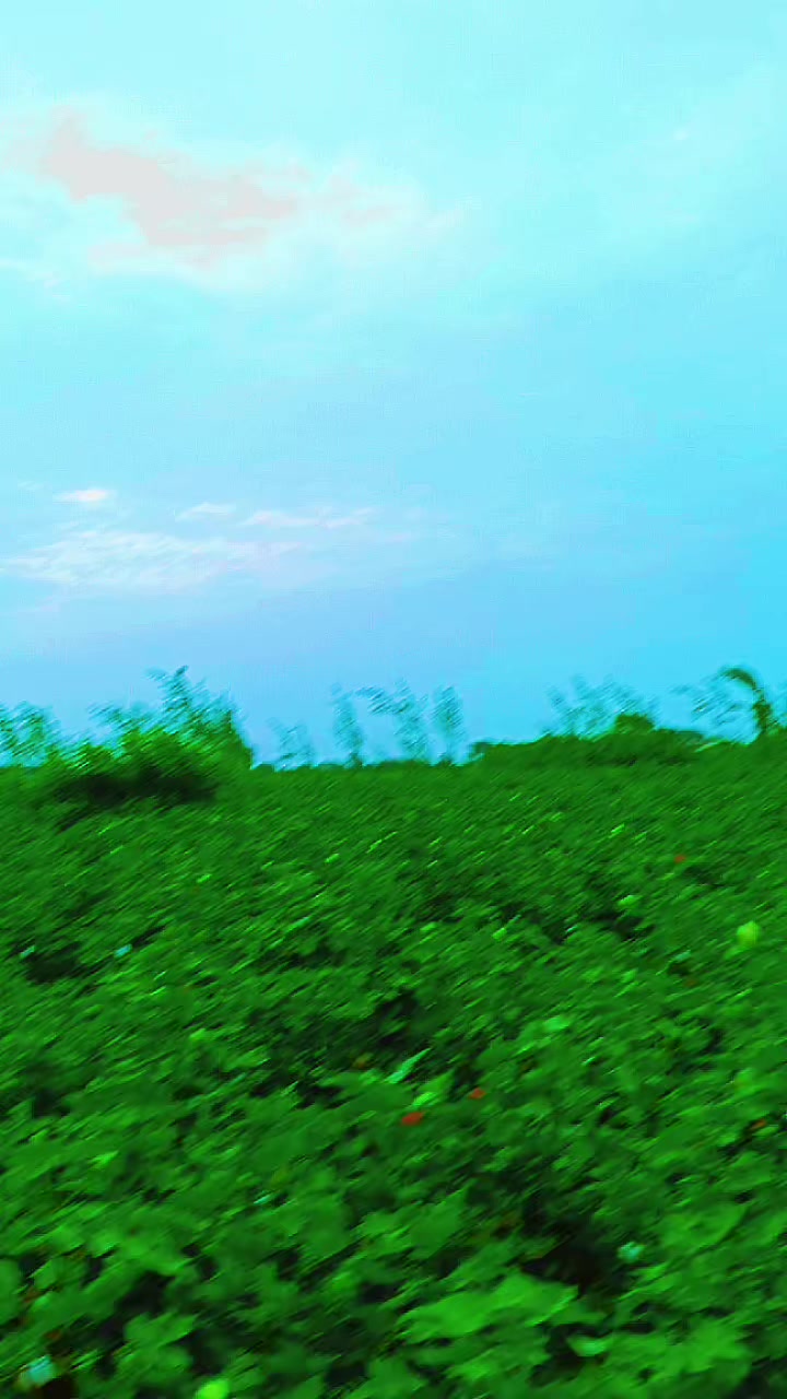 @Mukesh kumar kolhi