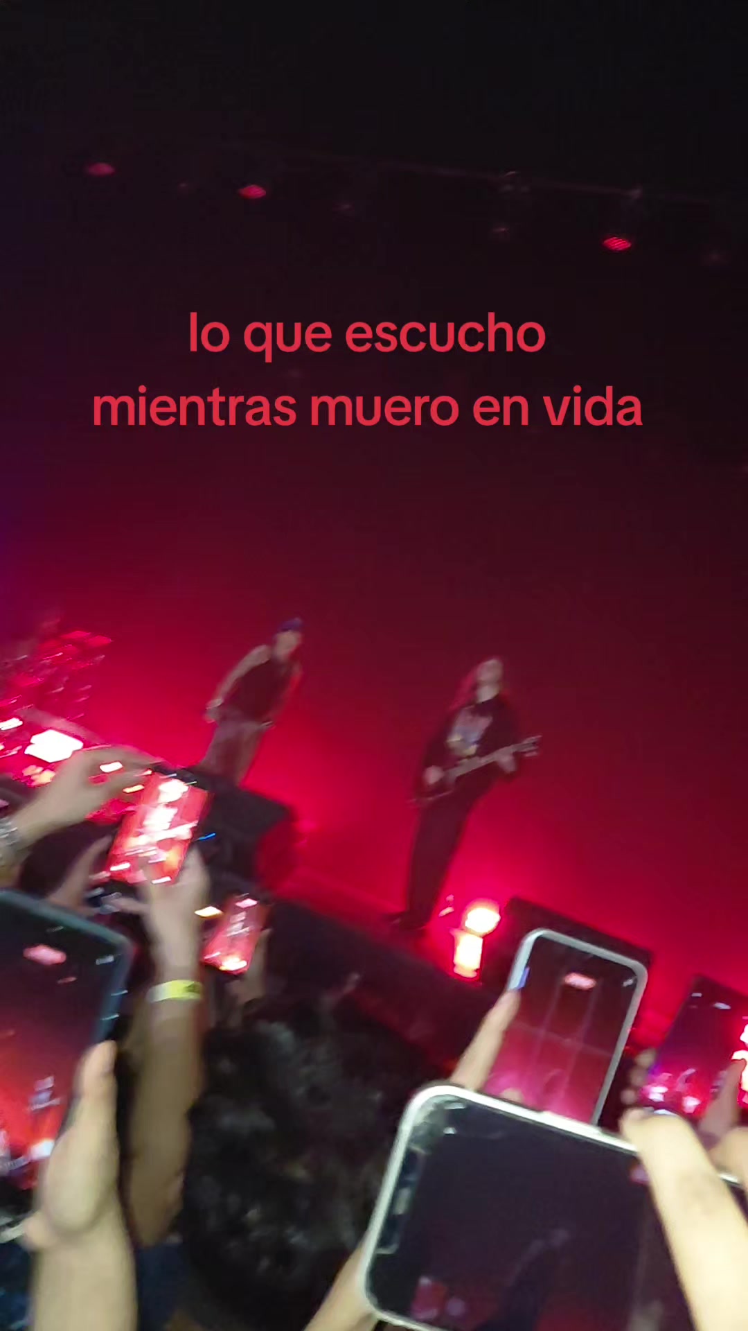 @𓆰excssy𓆪