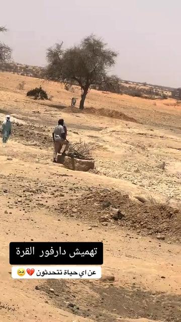 @ود تريبوي المحمودي